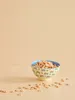 Ciotola in melamina Rice Blu - Stampa camper 700ml Anteprima dell’immagine prodotto 2