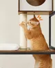 Feandrea Kratzbaum, mit Katzenklo-Schrank, erhöhter Produktbild-Vorschau 10