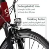 Agon Avesa E Bike bici da trekking donna uomo da 155 cm con Anteprima dell’immagine prodotto 6