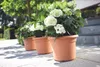 elho green basics cilinder 65cm Übertopf - mild tonrot Produktbild-Vorschau 2