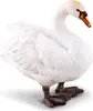 COLLECTA Labuť Náhled obrázku produktu 1