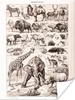 MuchoWow® Poster Tiere - Elefant - Schwarz - Weiß 90x120 cm Produktbild-Vorschau 1