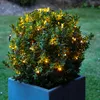 A bush decorated with string lights in a planter. Produktbild-Vorschau