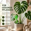 8 Bewässerungskugeln Set Topfpflanzen Gießkugeln Produktbild-Vorschau 8