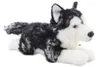 Peluche Husky sdraiato 35 cm Anteprima dell’immagine prodotto 1