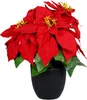 Weihnachtsstern 30 cm im schwarzen Topf - Poinsettia / Produktbild-Vorschau 1