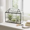 Terrario per piante Relaxdays, vetro e stagno, serra Anteprima dell’immagine prodotto 3