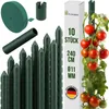 TTL GARDEN Rankstäbe 10er Set 240cm 11mm Pflanzenstütze + Produktbild-Vorschau 1