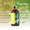 Frangipani Tekuté Hnojivo 2x1 L – 3-4-3 NPK – Pro Plumeria Náhled obrázku produktu 3
