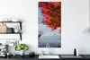 MuchoWow® Poster Berg Fidschi mit einem roten Ahornbaum Produktbild-Vorschau 3