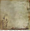 Scrapbooking-Papier Set 30×30 cm – SLS-049 Herbarium 2 – Produktbild-Vorschau 15
