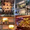 A collage of four images showing different setups of LED plant grow lights illuminating various indoor plants on shelves and in a greenhouse. Produktbild-Vorschau