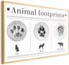 Posterpapier Poster - Paw Prints 60x40 cm Tiere Produktbild-Vorschau 1