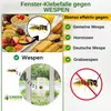 Fenster Wespenfallen mit Spezial-Lockstoff – 3x Fallen – Produktbild-Vorschau 2