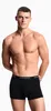 Pánské boxerky Emporio Armani 3 Pack | Trunk Core Logo Band Náhled obrázku produktu 2