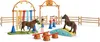 SCHLEICH Pony Agility Training 0 0 0 Produktbild-Vorschau 1