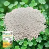 ECODECO Mikroklee Samen 500g Weiß Klee Beschichtete Clover Produktbild-Vorschau 4