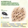 Green Guardia Pelzkäfer Falle mit Spezial-Lockstoff – 9x Produktbild-Vorschau 2