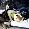 Hundespielzeug für aggressive Kauer Große Rassen, Produktbild-Vorschau 3