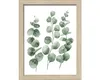 Gerahmtes Bild Eucalyptus Branches I 19x24 cm Produktbild-Vorschau 1