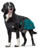 Hunter Hundemantel Uppsala Allrounder anthrazit/petrol, Produktbild-Vorschau 2