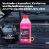 Exklusiv Chemie G12+ Kühlerfrostschutz bis -35° - 1000ml - Produktbild-Vorschau 5