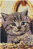 Ses Creative Beedz Art Iron Beads Kitten 45.5X30 cm 7000 Náhled obrázku produktu 6