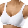 PETITE FLEUR Soft-BH bordeaux+weiß Größe 75 Cup E Produktbild-Vorschau 3
