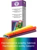 Körperkerzen Chakra – ±26cm – 179g – ±26cm 179g Produktbild-Vorschau 2