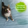 Waschmittel Bactador® Wäschespühlungs Geruchsentferner 1 L Produktbild-Vorschau 9