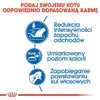 Royal Canin Feline Indoor - 4 kg Voir les images du produit 8
