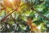 MuchoWow® Poster Ein Wald von Palmen 60x40 cm - Produktbild-Vorschau 1
