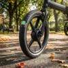 Schwalbe Green Marathon 16x1.35 (35-349) HS620 Performance Produktbild-Vorschau 6