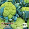 Samenliebe  Blumenkohl Samen | Verde di Macerata - grün - Produktbild-Vorschau 4