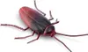 Zuru Robo Alive Glow In The Dark Kakerlake Produktbild-Vorschau 1