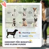 PawHut Passeggino per cani per cani di piccola taglia e Anteprima dell’immagine prodotto 4