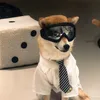 Haustier-Sonnenbrille, Hundebrille mit verstellbarem Produktbild-Vorschau 9