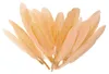 20 Entenfedern , 9-14 cm , apricot Produktbild-Vorschau