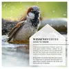 WILDLIFE HOME Vogeltränke stehend I Vogeltränke 41cm hoch Produktbild-Vorschau 6