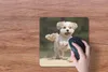 MuchoWow® Mauspad Mousepad Ein Shih Tzu Hund hüpft durch Produktbild-Vorschau 3