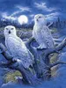 Diamant-Mosaik „Eulen, weiß und Mond“ NO-1009207 Produktbild-Vorschau 1
