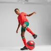 Puma Fpf Portugal Replica Heim Junior-shorts Grün 15-16 Produktbild-Vorschau 6