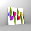 Bilder auf glas - Tulpe Blume Garten Komposition - 70x70cm Produktbild-Vorschau 4