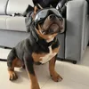 Haustier-Sonnenbrille, Hundebrille mit verstellbarem Produktbild-Vorschau 5