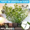 PFLANZOX Pflanzenclips Pflanzenklammern Rankhilfe Pflanzen Produktbild-Vorschau 3