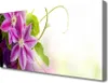 Tulup Leinwand-Bilder 100x50 Wandbild Canvas Kunstdruck Produktbild-Vorschau 1