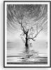 Gerahmtes Poster - Schwarzer Rahmen - Schwarzweiß Baum See Produktbild-Vorschau 1