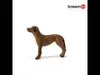 schleich FARM WORLD 13895, 3 rok/roky, Dogs, Farm animals / Náhled obrázku produktu 7