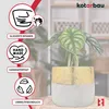 A plant in a decorative pot with informational icons and text. Podgląd zdjęcia produktu
