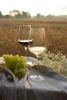 Stölzle Lausitz CoCoon calice da vino bianco 6 pezzi 471 00 Anteprima dell’immagine prodotto 11